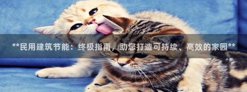 e尊国际-e尊国际官网：**民用建筑节能：终极指南，助您打造可持续、高效的家园**