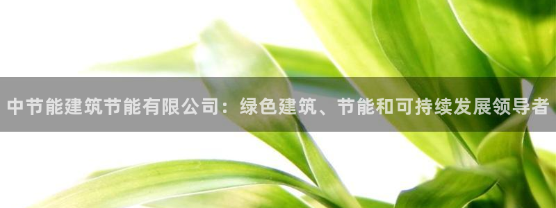 e尊电竞：中节能建筑节能有限公司：绿色建筑、节能和可持续发展领导者