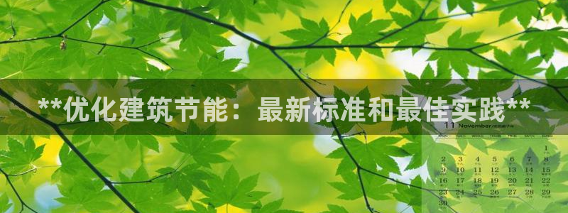 e尊电竞：**优化建筑节能：最新标准和最佳实践**