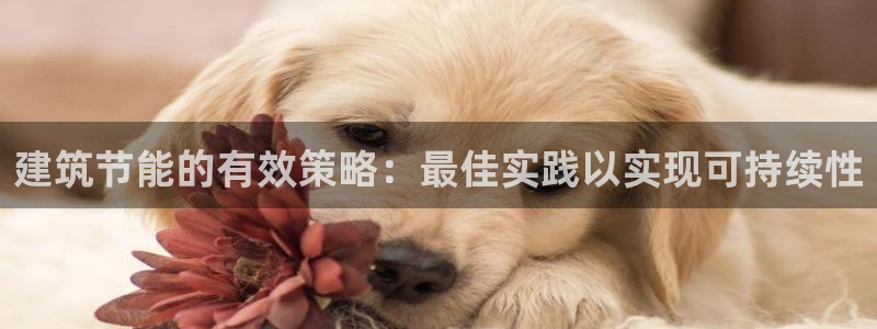 e尊国际平台：建筑节能的有效策略：最佳实践以实现可持续性