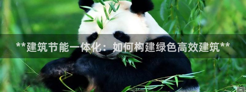 e尊国际-可可计划：**建筑节能一体化：如何构建绿色高效建筑**