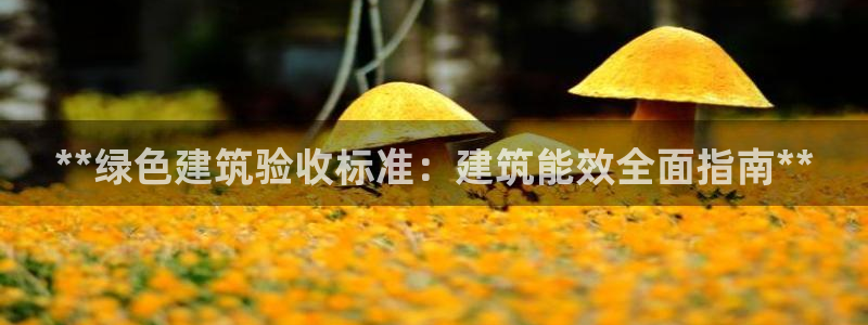 e尊国际-e尊国际官网：**绿色建筑验收标准：建筑能效全面指南**