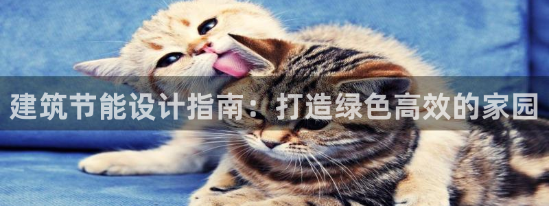 e尊体育：建筑节能设计指南：打造绿色高效的家园