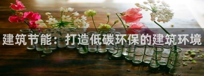 e尊国际-可可计划：建筑节能：打造低碳环保的建筑环境