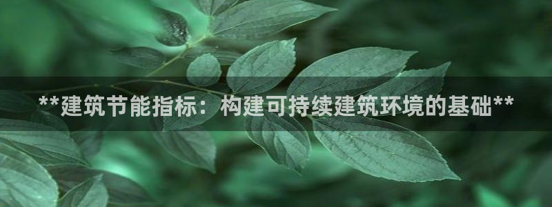 e尊国际客户端：**建筑节能指标：构建可持续建筑环境的基础**