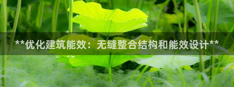 e尊国际平台：**优化建筑能效：无缝整合结构和能效设计**