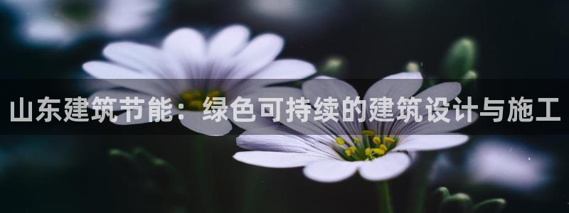 尊亿娱乐国际官网：山东建筑节能：绿色可持续的建筑设计与施工