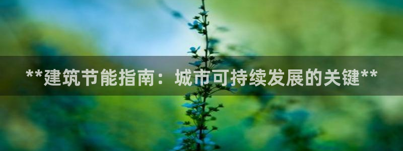 e尊国际地址：**建筑节能指南：城市可持续发展的关键**