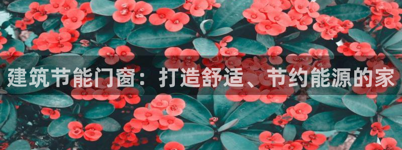尊亿游戏国际官网：建筑节能门窗：打造舒适、节约能源的家