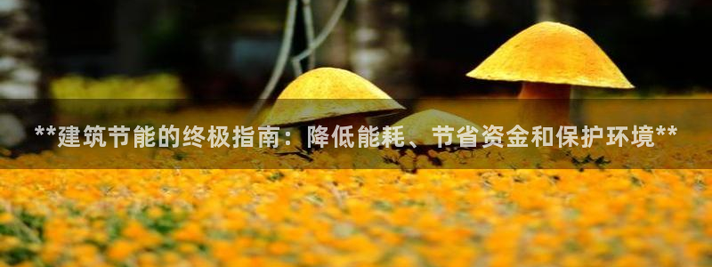 e尊国际平台：**建筑节能的终极指南：降低能耗、节省资金和保护环境**