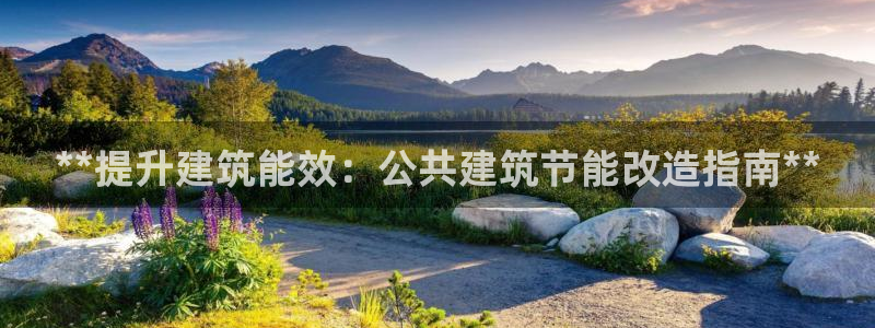 e尊国际客户端下载：**提升建筑能效：公共建筑节能改造指南**