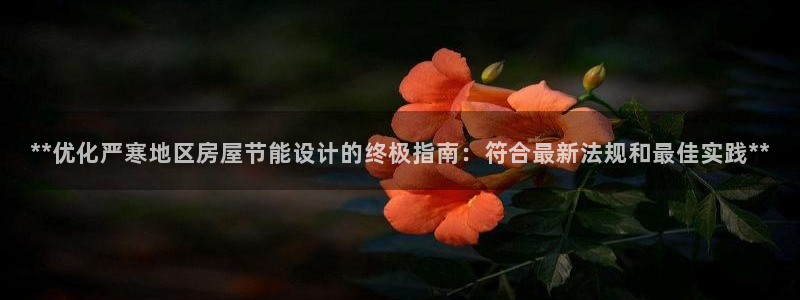 e尊国际平台：**优化严寒地区房屋节能设计的终极指南：符合最新法规和最佳实践**