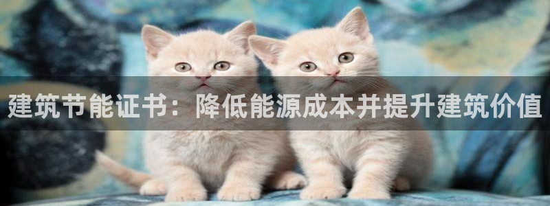 E尊国际：建筑节能证书：降低能源成本并提升建筑价值