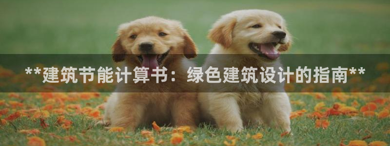 e尊国际客服：**建筑节能计算书：绿色建筑设计的指南**