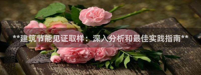 e尊国际网址：**建筑节能见证取样：深入分析和最佳实践指南**