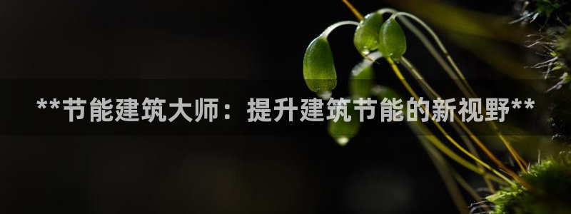 e尊国际-可可计划：**节能建筑大师：提升建筑节能的新视野**