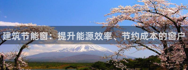 e尊国际官方网站：建筑节能窗：提升能源效率、节约成本的窗户