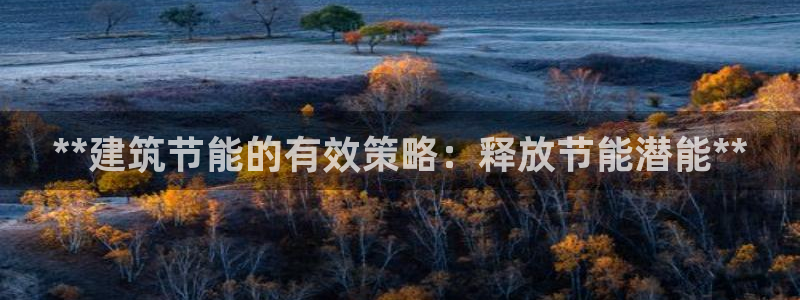 e尊国际娱乐官网下载：**建筑节能的有效策略：释放节能潜能**