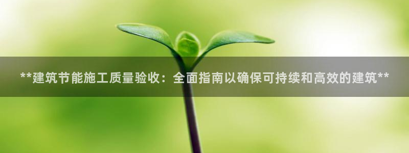 谁知道e尊国际的网址：**建筑节能施工质量验收：全面指南以确保可持续和高效的建筑**
