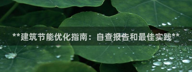 e尊国际是干什么的：**建筑节能优化指南：自查报告和最佳实践**