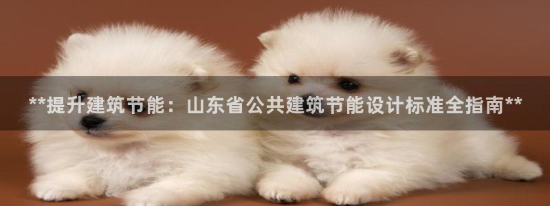 e尊国际官方网站