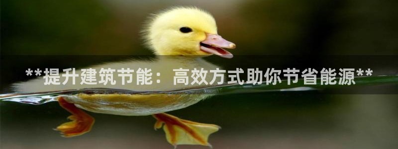e尊国际官方网站：**提升建筑节能：高效方式助你节省能源**