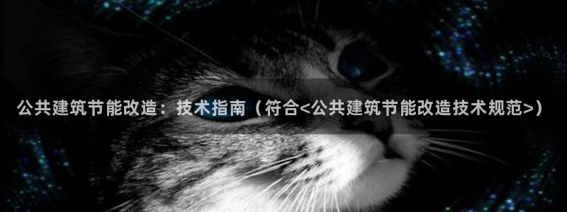 谁知道e尊国际的网址：公共建筑节能改造：技术指南（符合<公共建筑节能改造技术规范>）