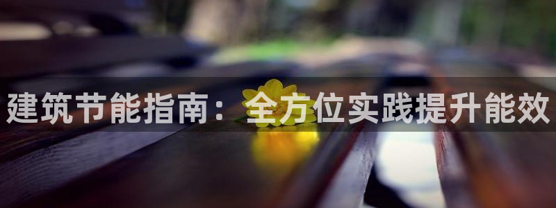 e尊国际平台：建筑节能指南：全方位实践提升能效