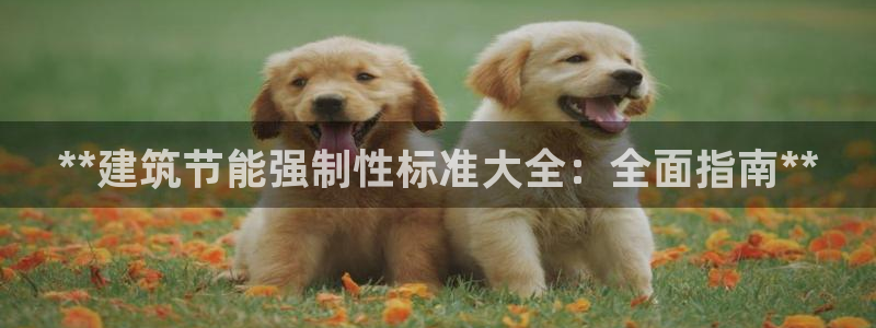 E尊国际网站：**建筑节能强制性标准大全：全面指南**