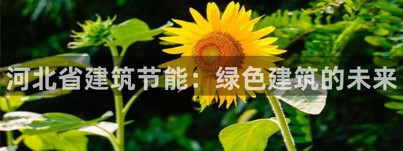 e尊国际7779：河北省建筑节能：绿色建筑的未来