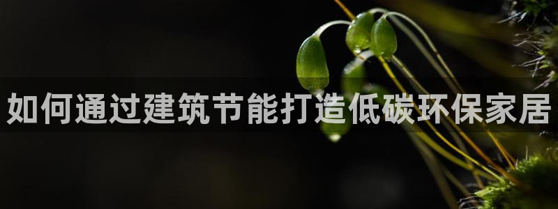 e尊国际7779：如何通过建筑节能打造低碳环保家居
