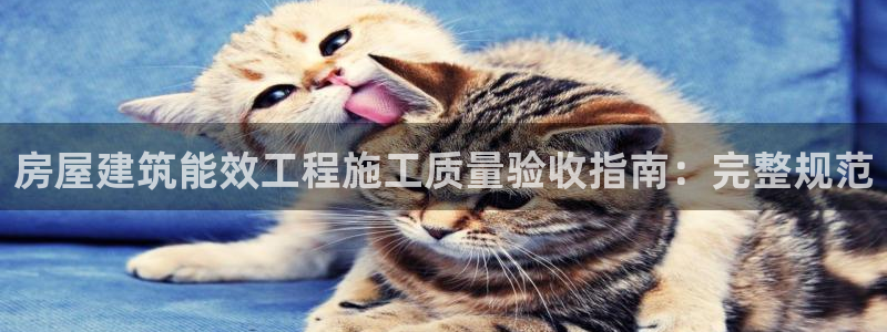 e尊国际平台
