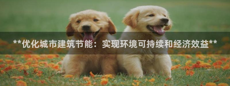 e尊国际的手机登录网站：**优化城市建筑节能：实现环境可持续和经济效益**