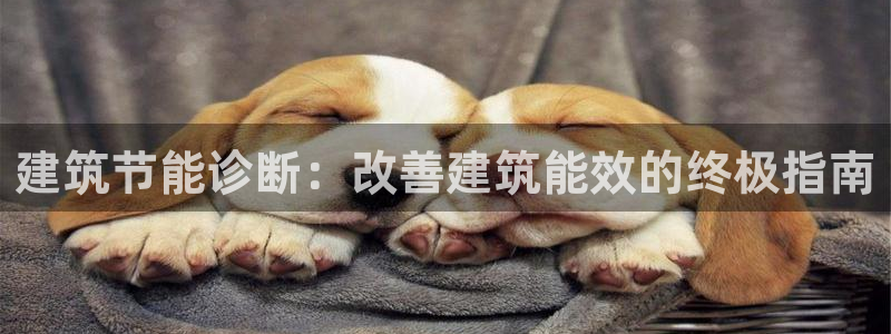 e尊平台：建筑节能诊断：改善建筑能效的终极指南
