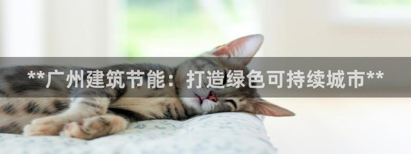 e尊国际官网：**广州建筑节能：打造绿色可持续城市**