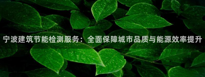 谁知道e尊国际的网址：宁波建筑节能检测服务：全面保障城市品质与能源效率提升