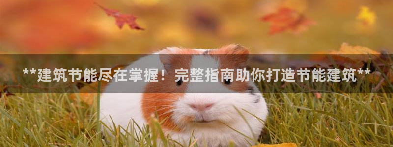 e尊体育：**建筑节能尽在掌握！完整指南助你打造节能建筑**