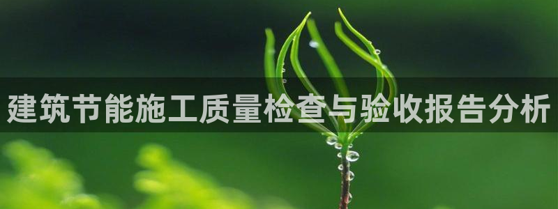 e尊国际平台