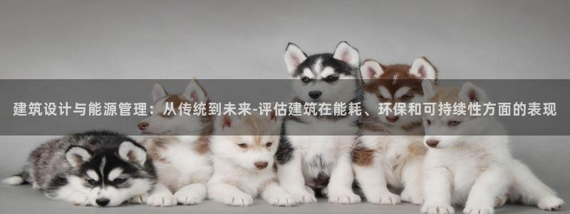 e尊国际官网·网址