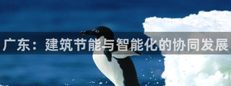 e尊国际7779：广东：建筑节能与智能化的协同发展