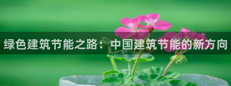 e尊国际地址