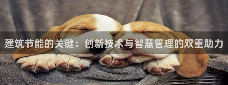 E尊国际网站：建筑节能的关键：创新技术与智慧管理的双重助力