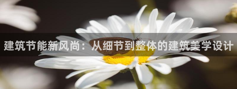 e尊国际网址