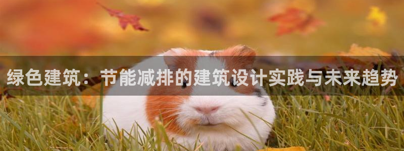 e尊国际官方网站
