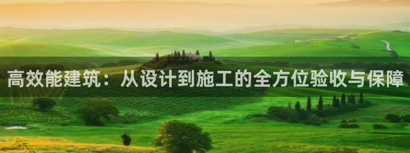 e尊平台：高效能建筑：从设计到施工的全方位验收与保障