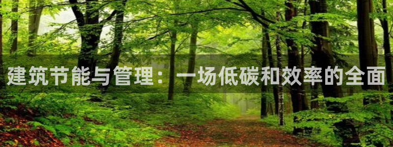 E尊国际