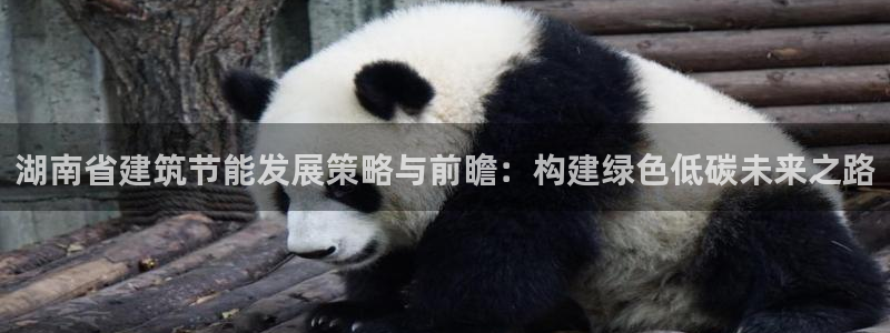 e尊国际客户端：湖南省建筑节能发展策略与前瞻：构建绿色低碳未来之路