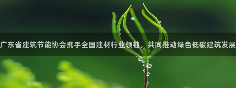 e尊国际客户端下载：广东省建筑节能协会携手全国建材行业领袖，共同推动绿色低碳建筑发展