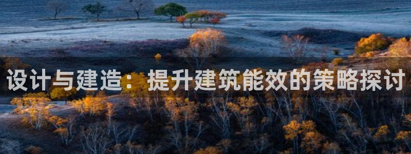 e尊电竞：设计与建造：提升建筑能效的策略探讨