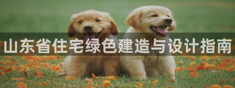 e尊国际官方网站：山东省住宅绿色建造与设计指南